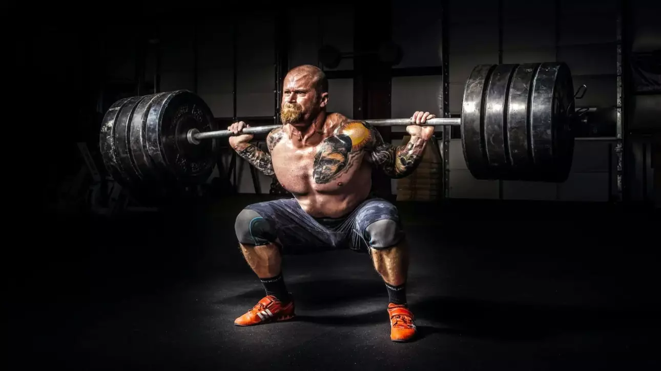 barbell squat featured image