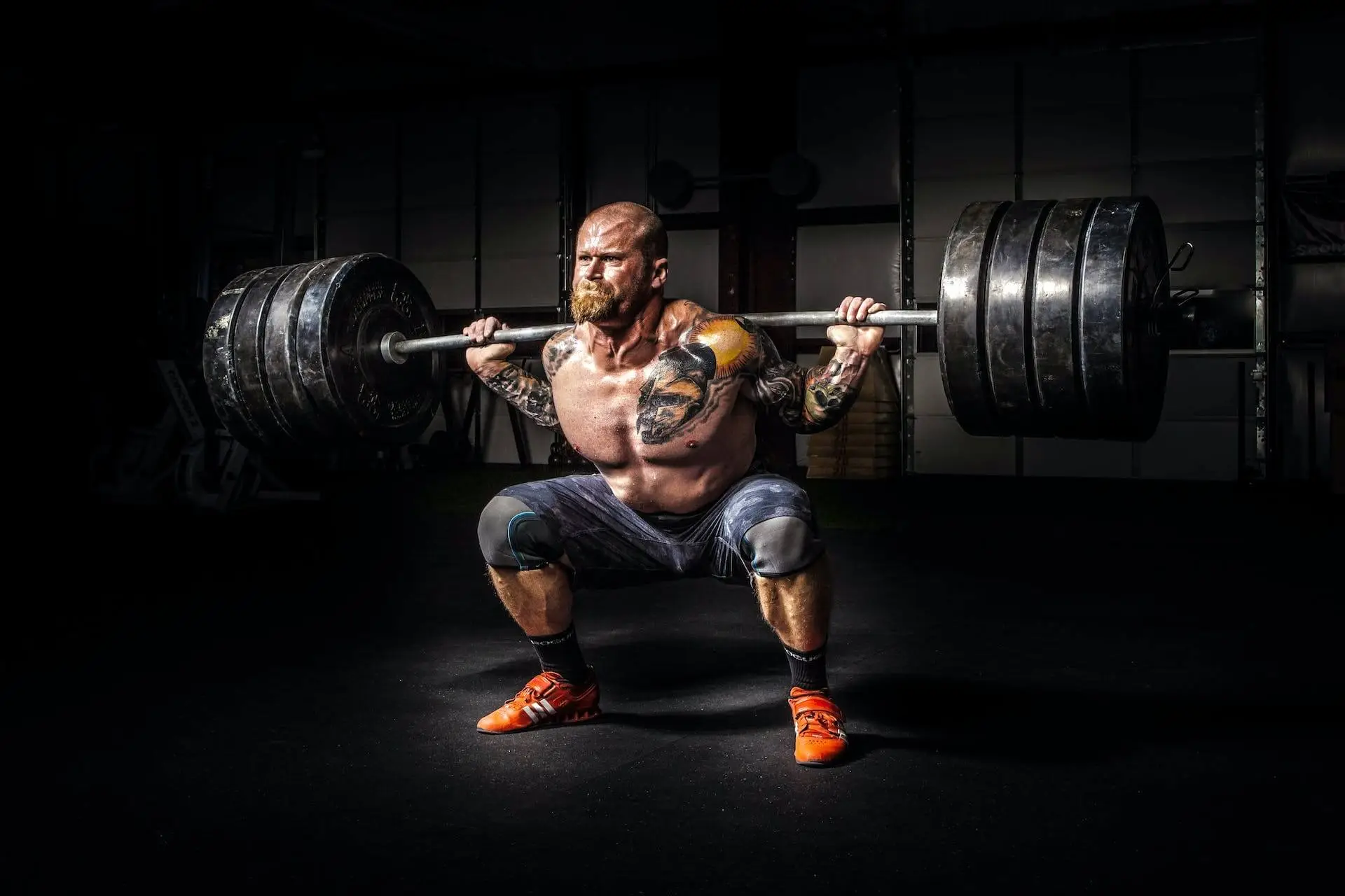 barbell squat featured image